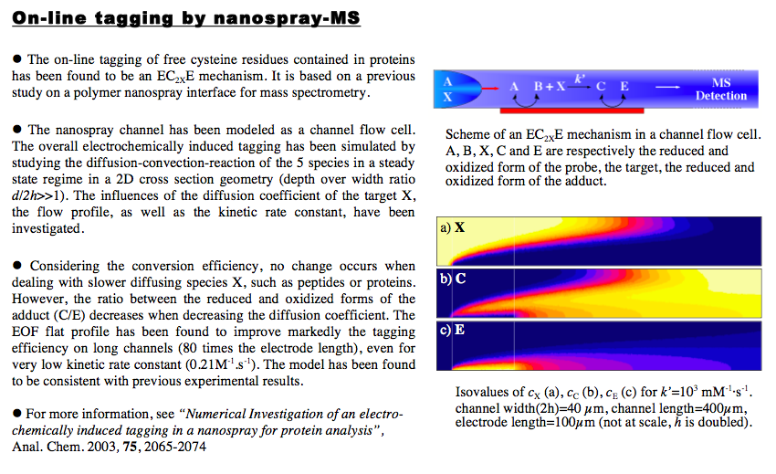 simulation electrochemical tagging